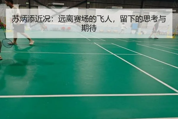 苏炳添近况：远离赛场的飞人，留下的思考与期待（leyu）